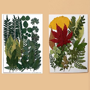 DIY레진 레진아트 자연 환경 꾸미기 표현하기 재료 만들기 나뭇잎 여름 가을나뭇잎 1p